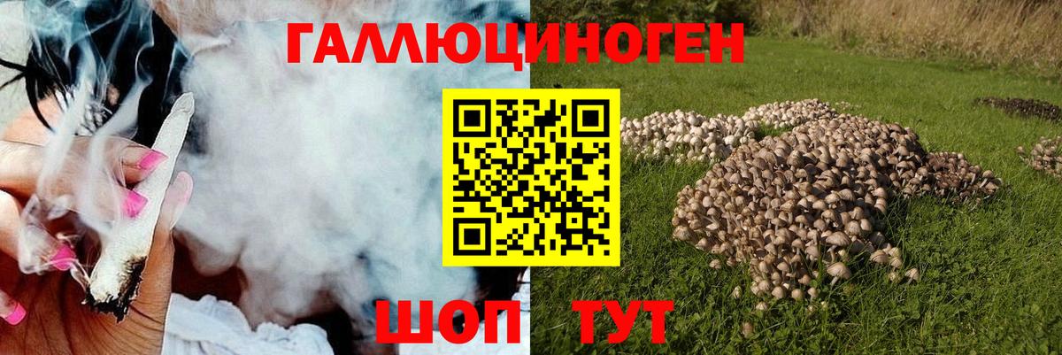 Галлюциногенные грибы мухоморы  Галлюциногенные грибы мицелий  Вход с VPN  Тихвин 